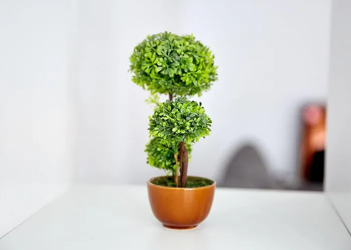 Indigo By Alz Năvodari