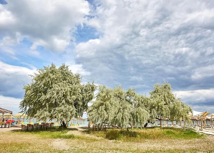 Aparthotel Indigo By Alz 3*