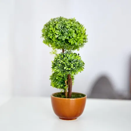 Indigo By Alz Năvodari